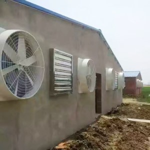 养殖香蕉视频成人网站