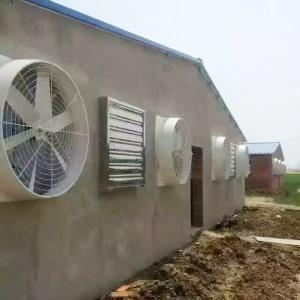 不同静压下养殖香蕉视频成人网站的工作效率